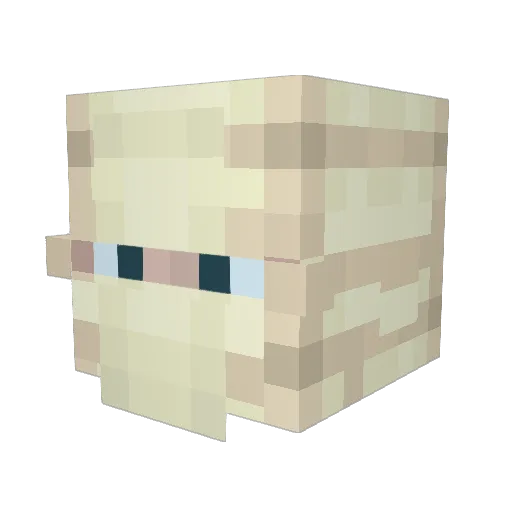 Antikais Minecraft avatar head, 3D render