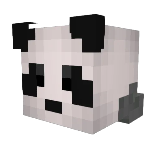 Antimate11 Minecraft avatar head, 3D render