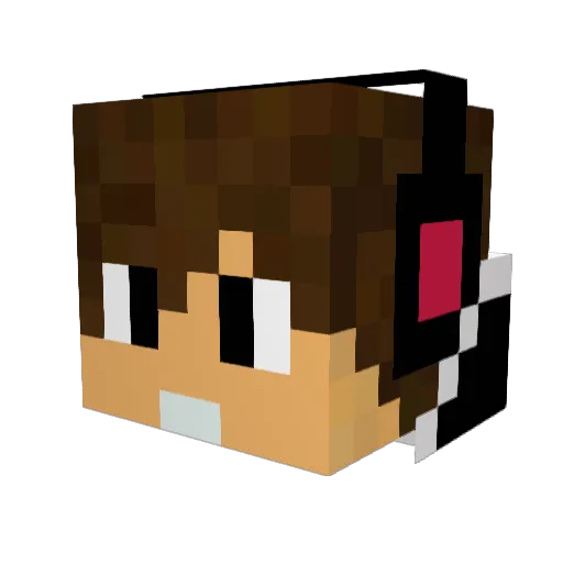 Antis1 Minecraft avatar head, 3D render