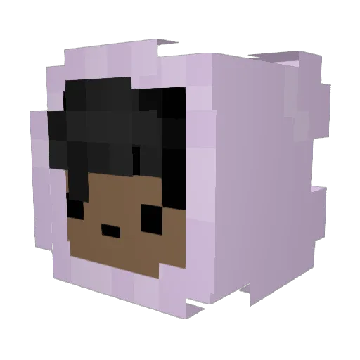 Antisad Minecraft avatar head, 3D render