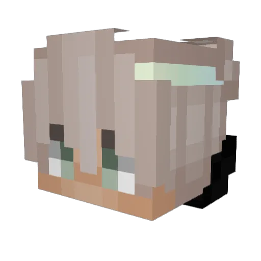 Antisexual Minecraft avatar head, 3D render