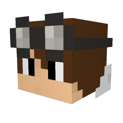 Antisocial_Extro Minecraft avatar head, 3D render