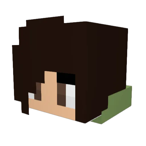 Antisocial_cat Minecraft avatar head, 3D render