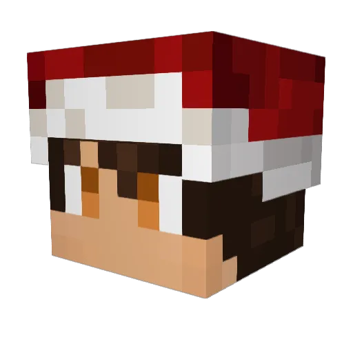 Antketsu Minecraft avatar head, 3D render