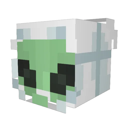AntlionGamer Minecraft avatar head, 3D render