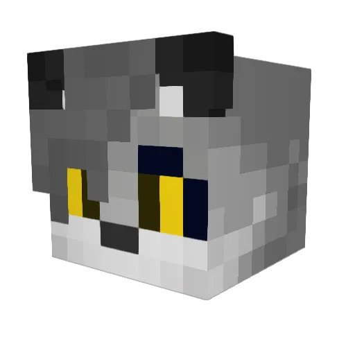 Antnommer Minecraft avatar head, 3D render