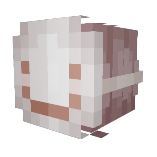 AntoFrogg Minecraft avatar head, 3D render