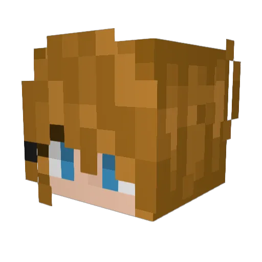 Antolka1 Minecraft avatar head, 3D render