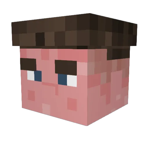 Anton_E52 Minecraft avatar head, 3D render