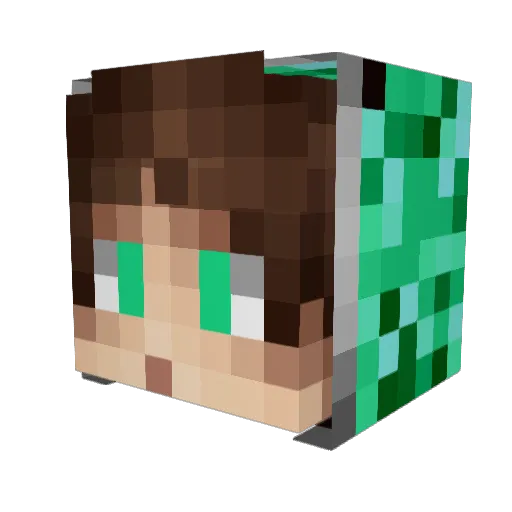 Anton_und_Emil Minecraft avatar head, 3D render