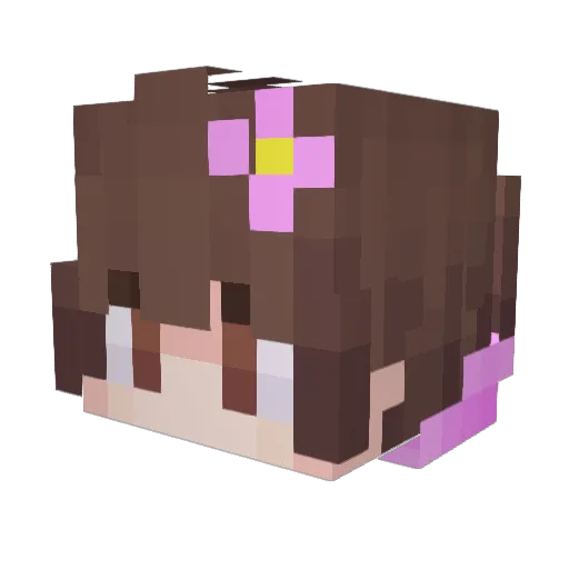 Antoni1337 Minecraft avatar head, 3D render