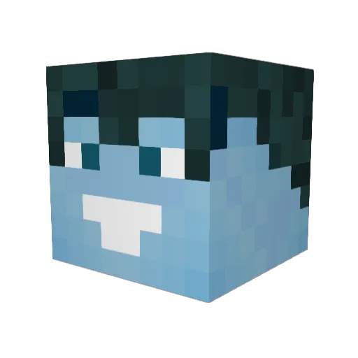 Antoni55 Minecraft avatar head, 3D render