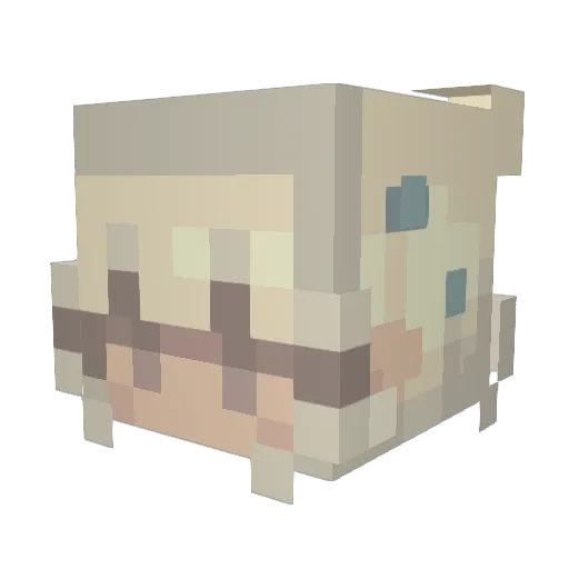 Antonia_la Minecraft avatar head, 3D render