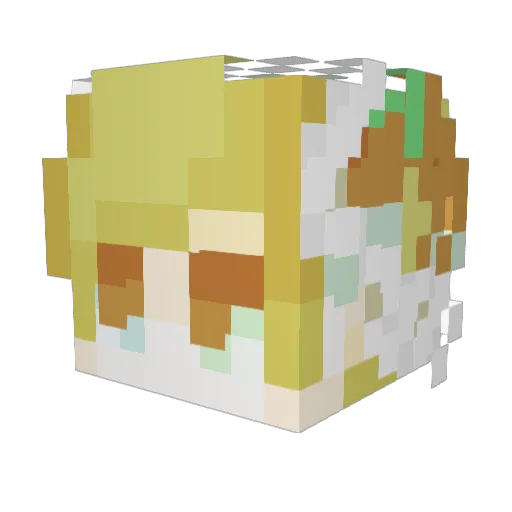 AntoninS98 Minecraft avatar head, 3D render