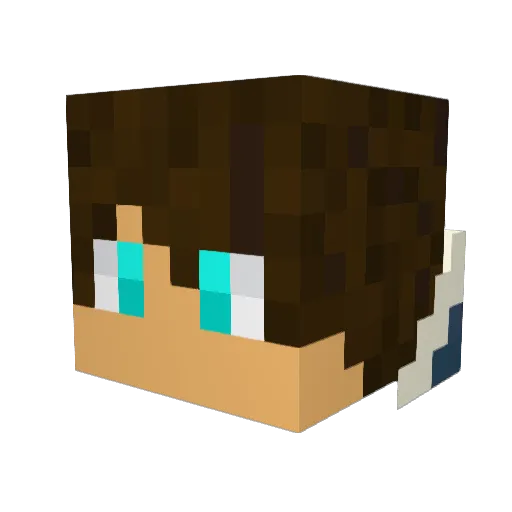 Antonio_Dr Minecraft avatar head, 3D render