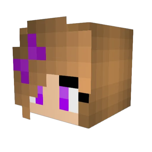 Antonta777 Minecraft avatar head, 3D render