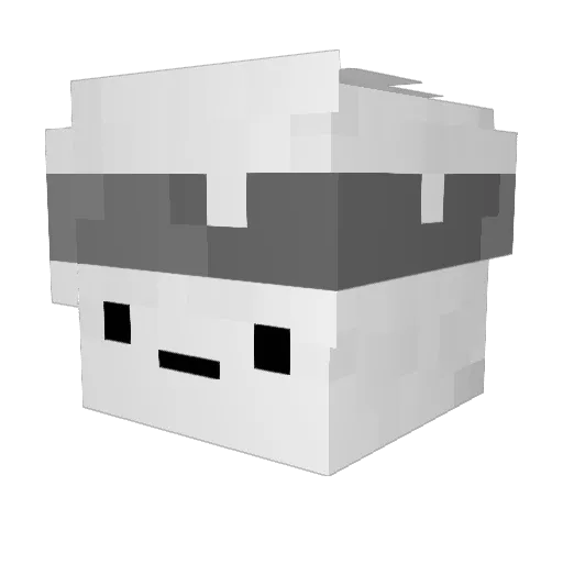 Ants4ever_ Minecraft avatar head, 3D render