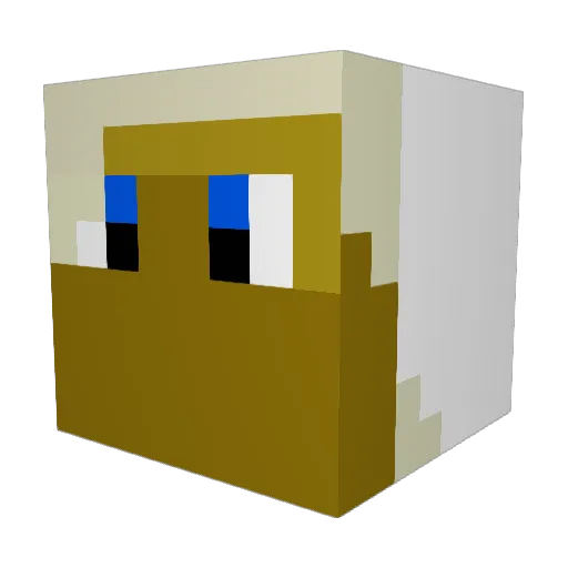 Antswe2102faze Minecraft avatar head, 3D render