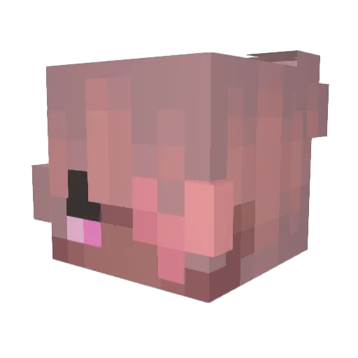 Antxiety_ Minecraft avatar head, 3D render