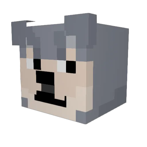 AnuCrysis Minecraft avatar head, 3D render