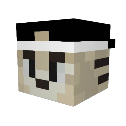 Anubis6981 Minecraft avatar head, 3D render