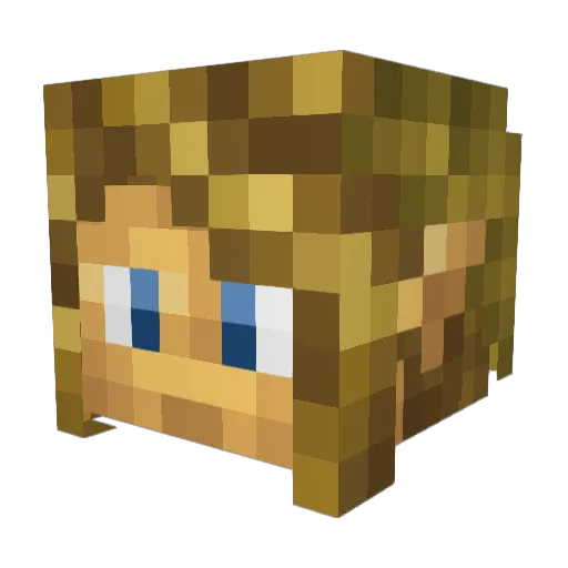 Anubisfordayz55 Minecraft avatar head, 3D render