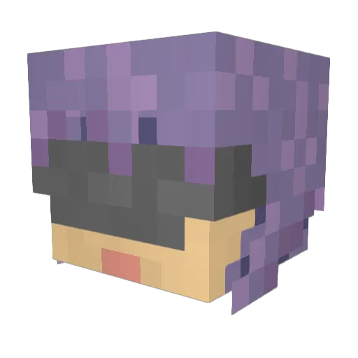 Anuma1 Minecraft avatar head, 3D render