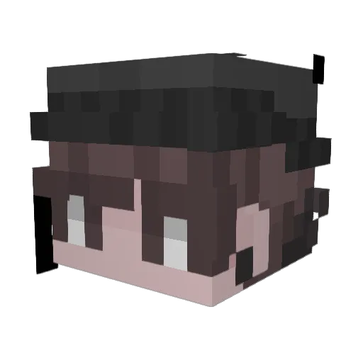 Anunen13 Minecraft avatar head, 3D render