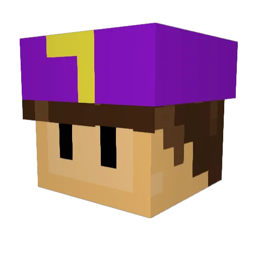 Anunionn Minecraft avatar head, 3D render