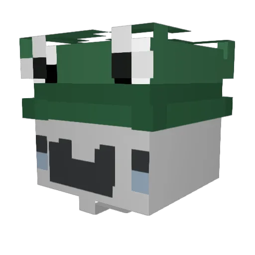 AnuraMC_ Minecraft avatar head, 3D render