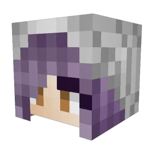 Anurana Minecraft avatar head, 3D render