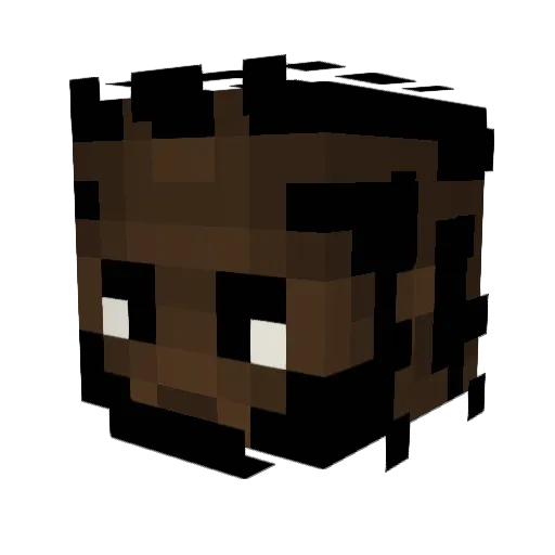 Anv28 Minecraft avatar head, 3D render