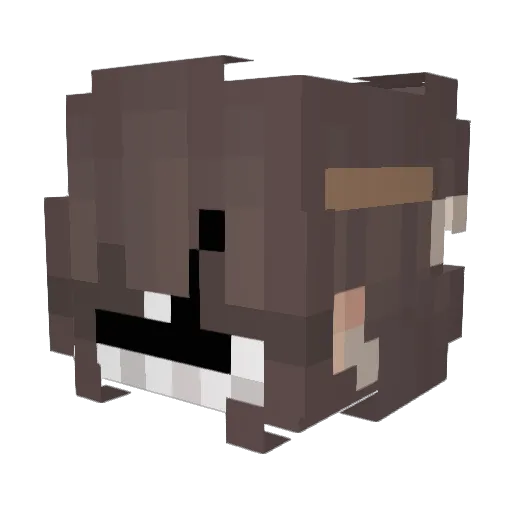 Anviller Minecraft avatar head, 3D render
