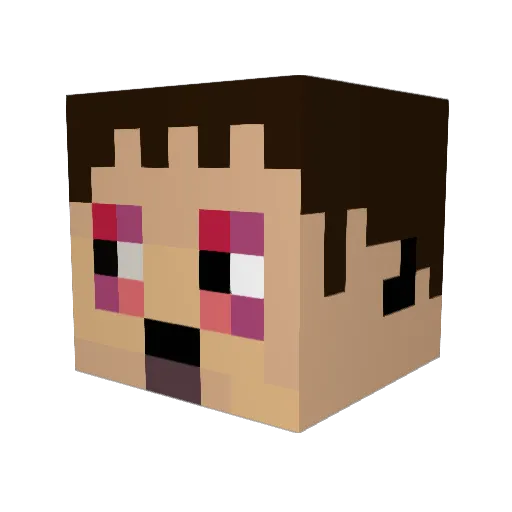 AnviouS69 Minecraft avatar head, 3D render