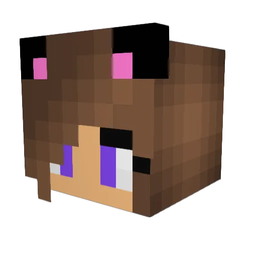 Anviyas Minecraft avatar head, 3D render