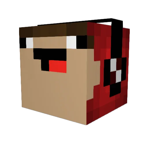 Anvorguesaa Minecraft avatar head, 3D render