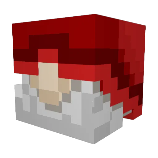 Anweddus Minecraft avatar head, 3D render