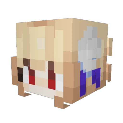 Anwim Minecraft avatar head, 3D render