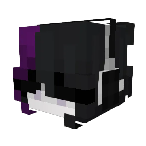 Anx0l Minecraft avatar head, 3D render
