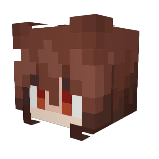 Anx1ezy Minecraft avatar head, 3D render