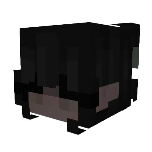 AnxJess_ Minecraft avatar head, 3D render