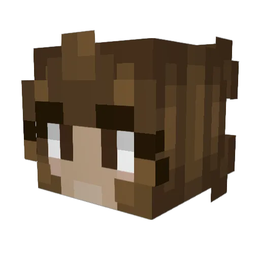 AnxiousRabidCat Minecraft avatar head, 3D render