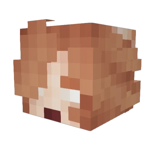 AnxiousSmile Minecraft avatar head, 3D render