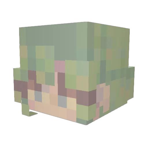 Anxious__Lobster Minecraft avatar head, 3D render