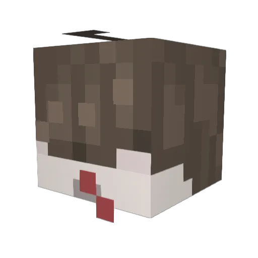 Anxiously5145 Minecraft avatar head, 3D render