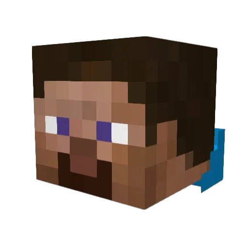 Any11 Minecraft avatar head, 3D render