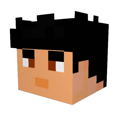 AnyGivenSunday Minecraft avatar head, 3D render