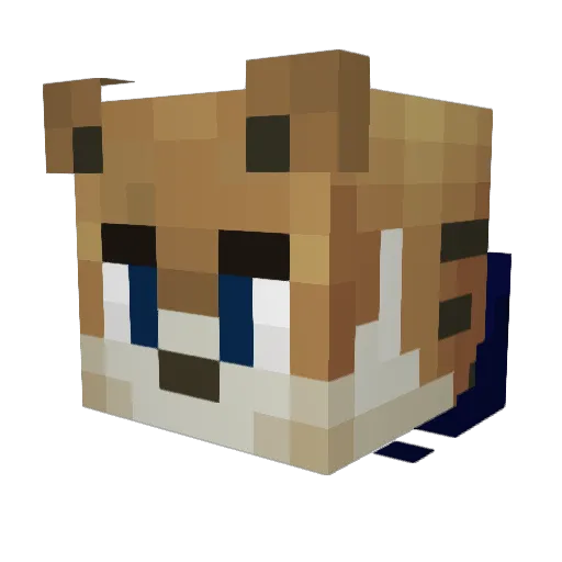 AnyLastWords_ Minecraft avatar head, 3D render