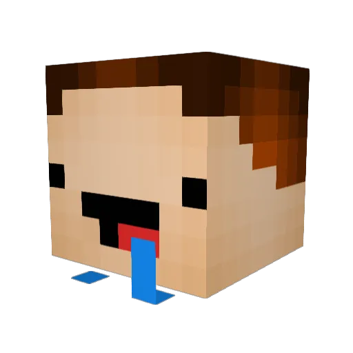 AnySpecialTalent Minecraft avatar head, 3D render