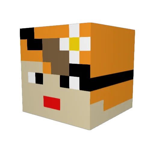 AnyTables Minecraft avatar head, 3D render